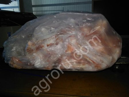 Трубчатая кость