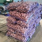 Картофель оптом