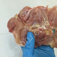 ШАУРМА ЦБ б/к и Окорочок б/к (Шаурма) и ЦБ п/ф для Чахохбили-Шашлыка (подложка, ГОСТ)