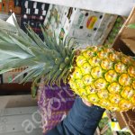 Ананас голд