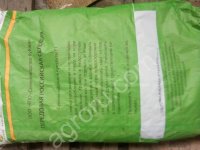 Кукуруза семенная F1 Ладожская