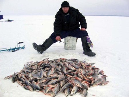 На алтайском озере Уткуль стартовали соревнования по ловле рыбы на мормышку