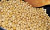 Китай: по итогам 2010 года импорт соевых бобов составил рекордные 54,8 млн. тонн