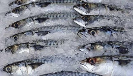 От какой рыбы отказались россияне