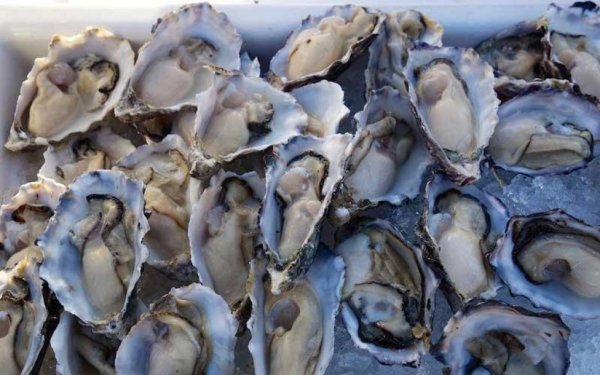 Краткий обзор рынка рыбы