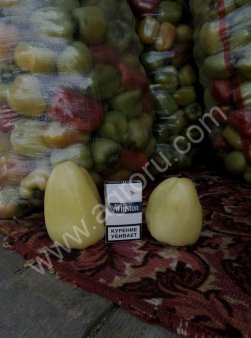 Перец болгарский сорт Ведрана