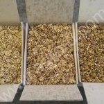 грецкий орех, ядро грецкого ореха