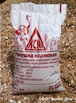 Ракушка морская кормовая