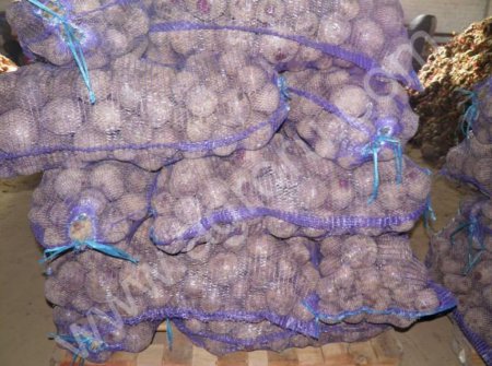 Свекла оптом