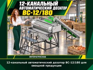 12-канальный автоматический дозатор ВС-12/180 для овощной продукции