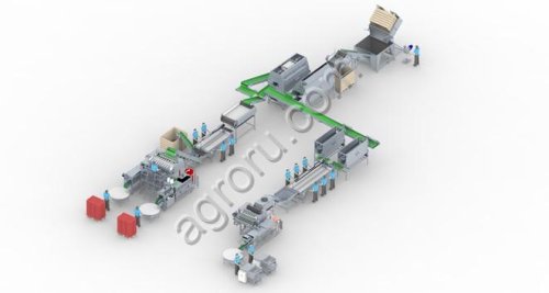 Линия переработки картофеля и корнеплодов: мойка, очистка, нарезка, вакуум