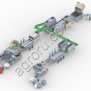 Линия переработки картофеля и корнеплодов: мойка, очистка, нарезка, вакуум