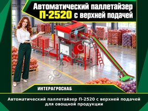 Автоматический паллетайзер П-2520 с верхней подачей для овощной продукции