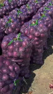Лук красный