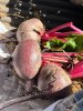 Экспорт С/Х продукции