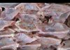 Каркас куриный