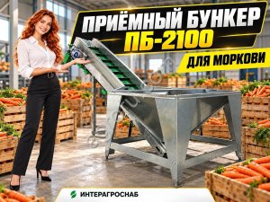 Приёмный бункер ПБ-2100 для моркови