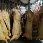 Свинина п/т