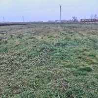 Тепличное хозяйство