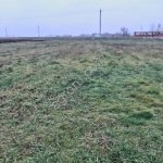 Тепличное хозяйство