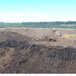 Удобрение органическое Куриный помет перепревший