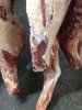 туши и полутуши быка и коровы из Беларуси.