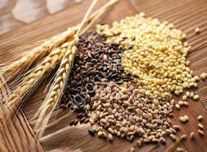 семена яровых культур