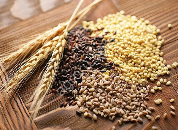 семена яровых культур