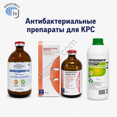Антибактериальные препараты для КРС