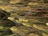 Семена озимого ячменя ЭС/РС1