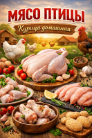 мясо птицы, курица домашняя в воронежской области
