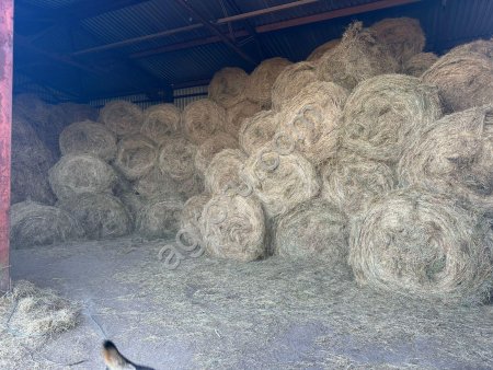 Сено луговое 2025