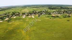 Земельный участок 81,5 га., в Московской области