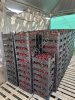 Черешня из Мелитополя сортов Талисман, Черный Мелитополь, Анонс, Крупноплодная