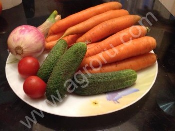 <span>морковь</span> года
