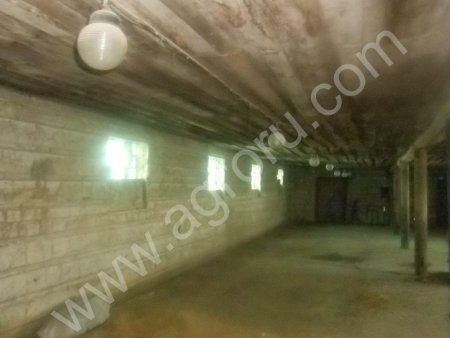 сооружение и земельный участок