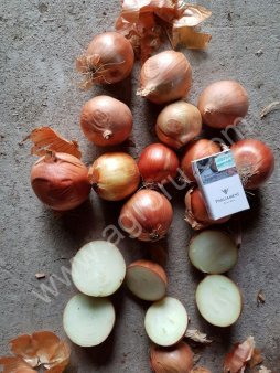 Лук, Морковь, Капусту б/к,Болгарский перец оптом