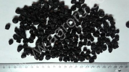 Черная смородина сушеная