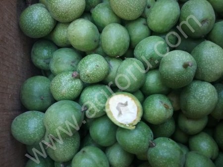 зеленый грецкий орех