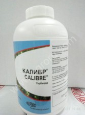 Калибр