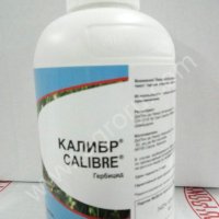 Калибр