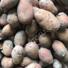 Картофель урожай 2017
