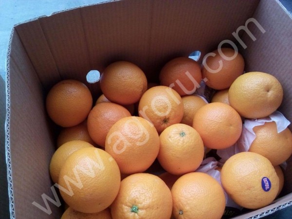 Апельсины оптом