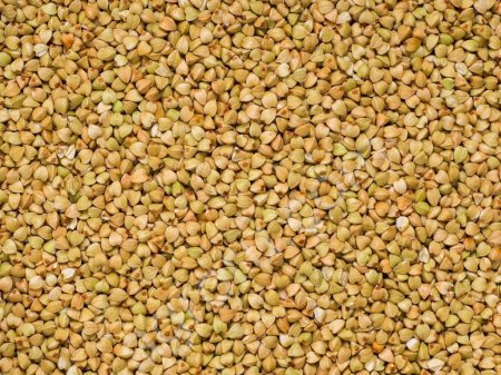 Зеленая гречка для проращивания