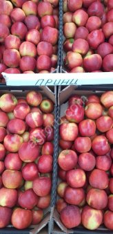 Яблоки оптом