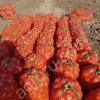 лук репчатый оптом от производителя