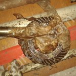 Запасные части к кормоуборочному комбайну КСК-100