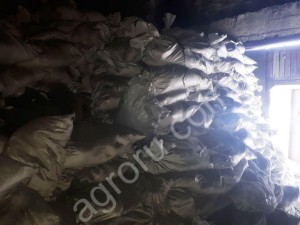 Цинковый купорос
