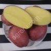 Картофель Ред Скарлет