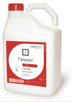 Галион, ВР, 5 л, Август